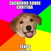 CACHORRO SOBRE CURITIBA TENPO