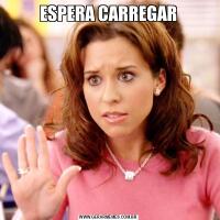ESPERA CARREGAR