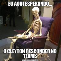 EU AQUI ESPERANDO...O CLEYTON RESPONDER NO TEAMS