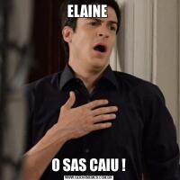 ELAINE O SAS CAIU !