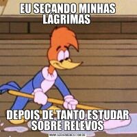 EU SECANDO MINHAS LÁGRIMAS DEPOIS DE TANTO ESTUDAR SOBRE RELEVOS