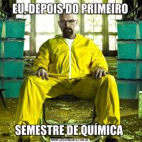 EU, DEPOIS DO PRIMEIROSEMESTRE DE QUÍMICA 