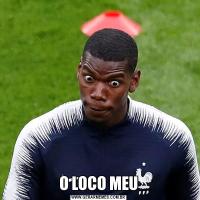 O LOCO MEU