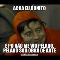ACHA EU BONITOÉ PQ NÃO ME VIU PELADO. PELADO SOU OBRA DE ARTE