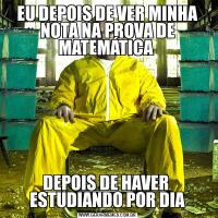 EU DEPOIS DE VER MINHA NOTA NA PROVA DE MATEMÁTICA DEPOIS DE HAVER  ESTUDIANDO POR DIA