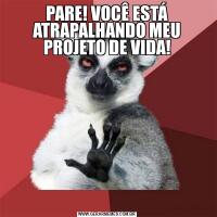 PARE! VOCÊ ESTÁ ATRAPALHANDO MEU PROJETO DE VIDA!