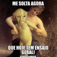 ME SOLTA AGORAQUE HOJE TEM ENSAIO GERAL!