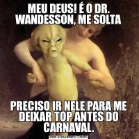 MEU DEUS! É O DR. WANDESSON, ME SOLTAPRECISO IR NELE PARA ME DEIXAR TOP ANTES DO CARNAVAL.