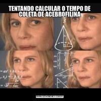 TENTANDO CALCULAR O TEMPO DE COLETA DE ACEBROFILINA