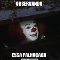 OBSERVANDO ESSA PALHAÇADA 