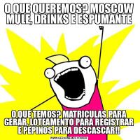 O QUE QUEREMOS? MOSCOW MULE, DRINKS E ESPUMANTEO QUE TEMOS? MATRICULAS PARA GERAR, LOTEAMENTO PARA REGISTRAR E PEPINOS PARA DESCASCAR!!