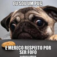 EU SOU UM PUG E MEREÇO RESPEITO POR SER FOFO