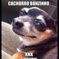 CACHORRO BONZINHO KKK