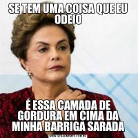 SE TEM UMA COISA QUE EU ODEIOÉ ESSA CAMADA DE GORDURA EM CIMA DA MINHA BARRIGA SARADA