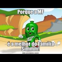 Porque a MFé a melhor do Família Simmm!