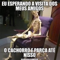 EU ESPERANDO A VISITA DOS MEUS AMIGOSO CACHORRO E PARÇA ATÉ NISSO