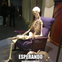 ESPERANDO