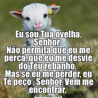 Eu sou Tua ovelha, Senhor. 
Não permita que eu me perca, que eu me desvie do Teu rebanho. 
Mas se eu me perder, eu Te peço , Senhor, Vem me encontrar. 