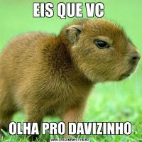 EIS QUE VC OLHA PRO DAVIZINHO