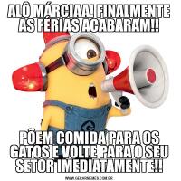 ALÔ MÁRCIAA! FINALMENTE AS FÉRIAS ACABARAM!!PÕEM COMIDA PARA OS GATOS E VOLTE PARA O SEU SETOR IMEDIATAMENTE!!