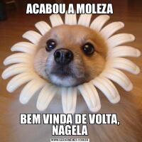 ACABOU A MOLEZABEM VINDA DE VOLTA, NAGELA