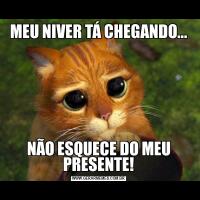 MEU NIVER TÁ CHEGANDO...NÃO ESQUECE DO MEU PRESENTE!