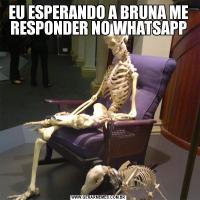 EU ESPERANDO A BRUNA ME RESPONDER NO WHATSAPP
