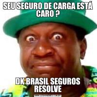 SEU SEGURO DE CARGA ESTÁ CARO ?DK BRASIL SEGUROS RESOLVE