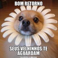 BOM RETORNOSEUS VÉLHINHOS TE AGUARDAM