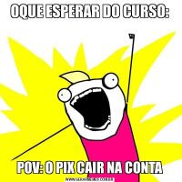 OQUE ESPERAR DO CURSO:POV: O PIX CAIR NA CONTA
