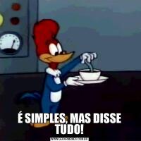 É SIMPLES, MAS DISSE TUDO!