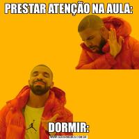 PRESTAR ATENÇÃO NA AULA:DORMIR: