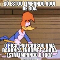SÓ ESTOU LIMPANDO AQUI DE BOAO PICA-PAU CAUSOU UMA BAGUNÇA ENORME E AGORA ESTÁ LIMPANDO O LOCA