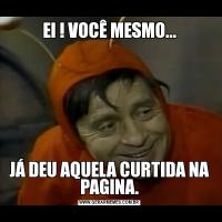 EI ! VOCÊ MESMO...JÁ DEU AQUELA CURTIDA NA PAGINA.