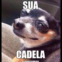 SUACADELA