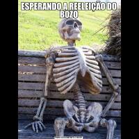 ESPERANDO A REELEIÇÃO DO BOZO