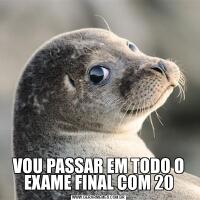 VOU PASSAR EM TODO O EXAME FINAL COM 20