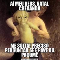 AÍ MEU DEUS, NATAL CHEGANDOME SOLTA! PRECISO PERGUNTAR SE É PAVÊ OU PACUMÊ