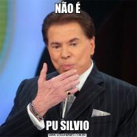 NÃO ÉPU SILVIO