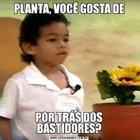 PLANTA, VOCÊ GOSTA DEPOR TRÁS DOS BASTIDORES?