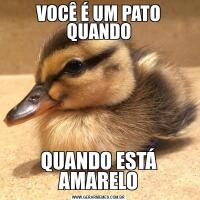 VOCÊ É UM PATO QUANDOQUANDO ESTÁ AMARELO
