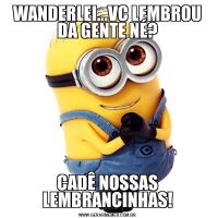 WANDERLEI...VC LEMBROU DA GENTE NÉ?CADÊ NOSSAS LEMBRANCINHAS!