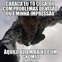 CARACA EU TÔ CEGA  OU  COM PROBLEMAS DE VISÃO  OU É MINHA IMPRESSÃO ÀQUILO ALI EM BAIXO E UM GNOMIO