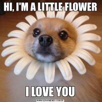 HI, I'M A LITTLE FLOWERI LOVE YOU