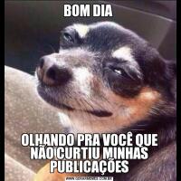 BOM DIA OLHANDO PRA VOCÊ QUE NÃO CURTIU MINHAS PUBLICAÇÕES