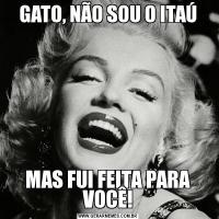 GATO, NÃO SOU O ITAÚMAS FUI FEITA PARA VOCÊ!