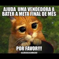 AJUDA  UMA VENDEDORA A BATER A META FINAL DE MÊSPOR FAVOR!!!