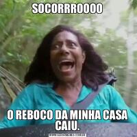 SOCORRROOOOO REBOCO DA MINHA CASA CAIU.