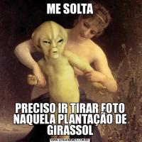ME SOLTAPRECISO IR TIRAR FOTO NAQUELA PLANTAÇÃO DE GIRASSOL