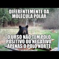 DIFERENTEMENTE DA MOLÉCULA POLARO URSO NÃO TEM POLO POSITIVO OU NEGATIVO, APENAS O POLO NORTE